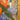 Chinoiserie Flowers in Vase Decorative Wall Mirror