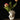 An ivory white vase made of ceramic in a hand shape with tulip flowers.